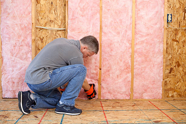 Best DIY Insulation Kits and Guidance in Tiffin, IA